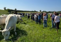 Interessante Betriebe in Thüringen