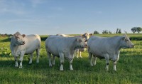 Interessante Betriebe in Thüringen