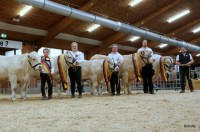 Charolais Bundesschau am 11.10.2025 in Alsfeld