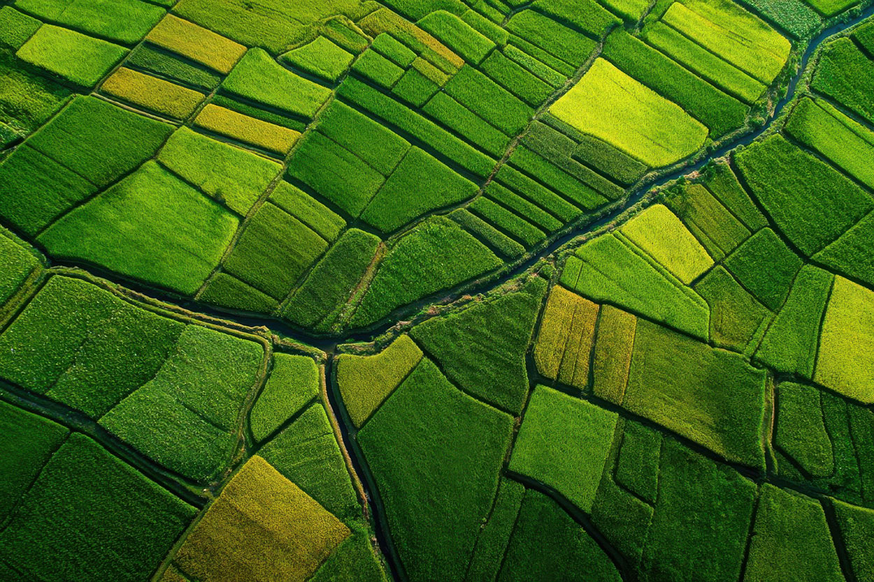 AdobeStock_1885730565