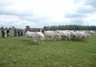 Betrieb Hinkelmann