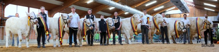 559-Sieger 2026 BRS Charolais Alsfeld 2026